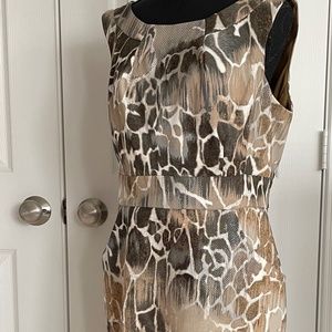 Dress Barn Dress, Neutral Shades, Size 12